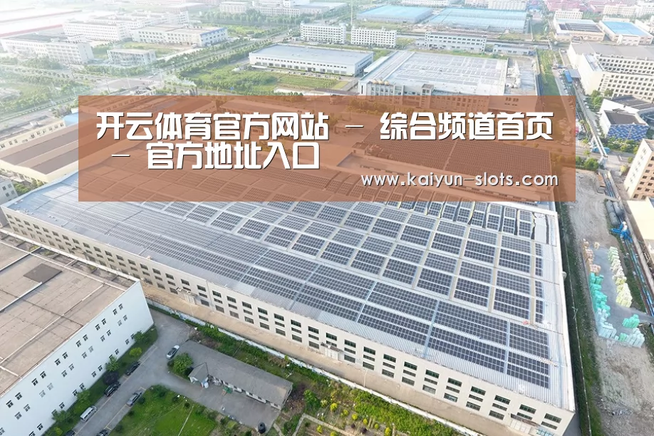 案例展示一