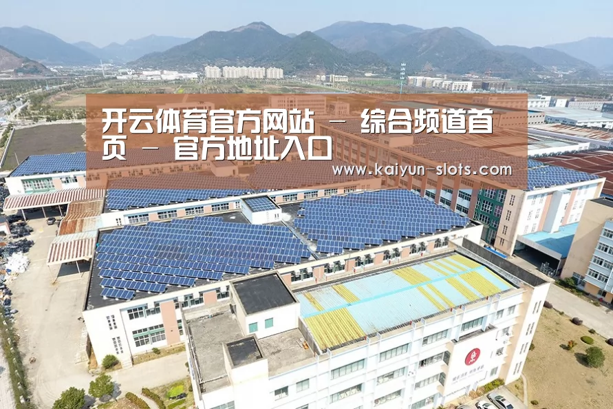 案例展示一