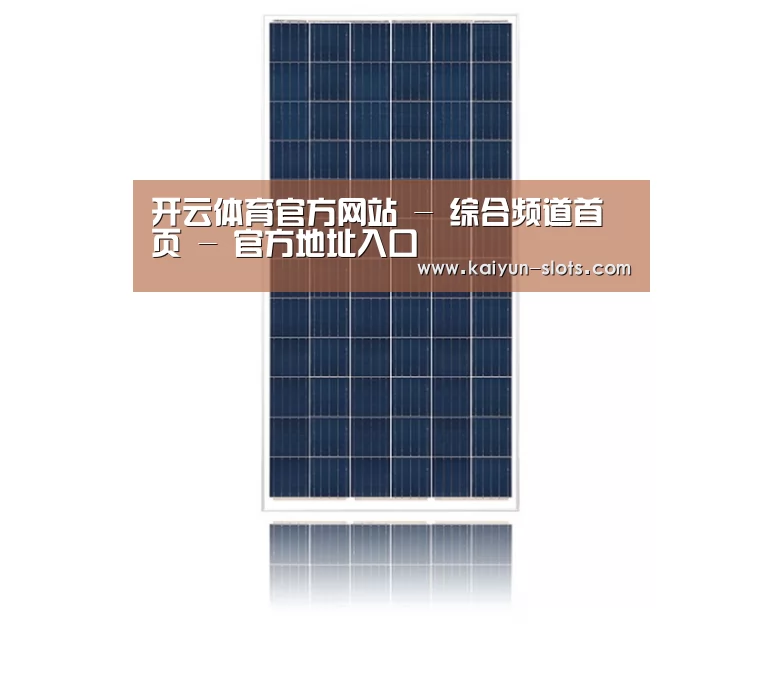 产品名称一