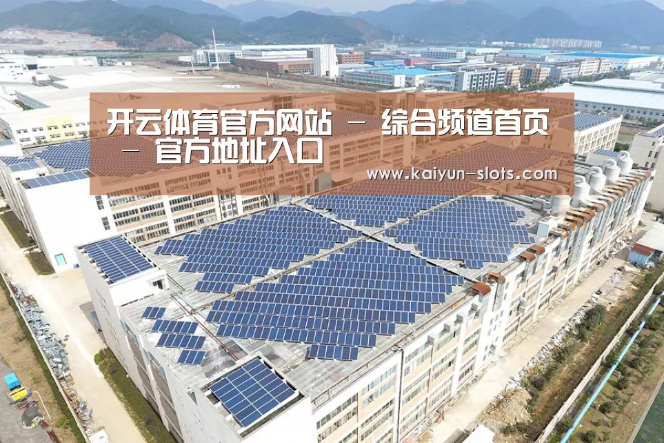 案例展示三
