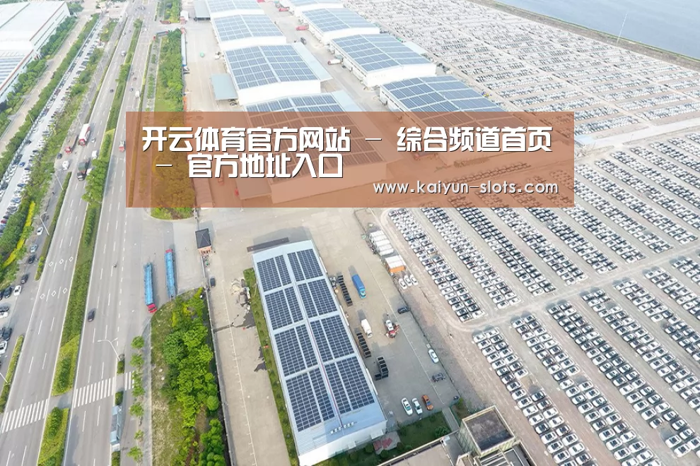案例展示一