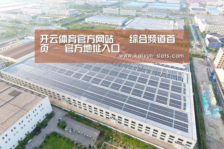 案例展示三