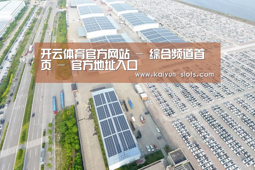 案例展示一
