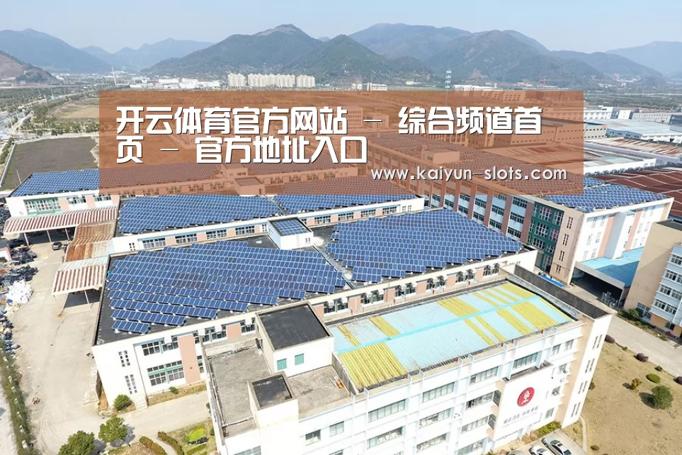 案例展示三