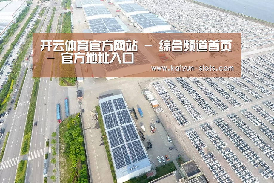 案例展示三