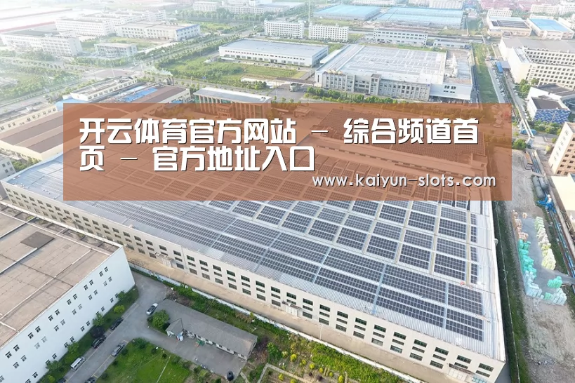 案例展示四