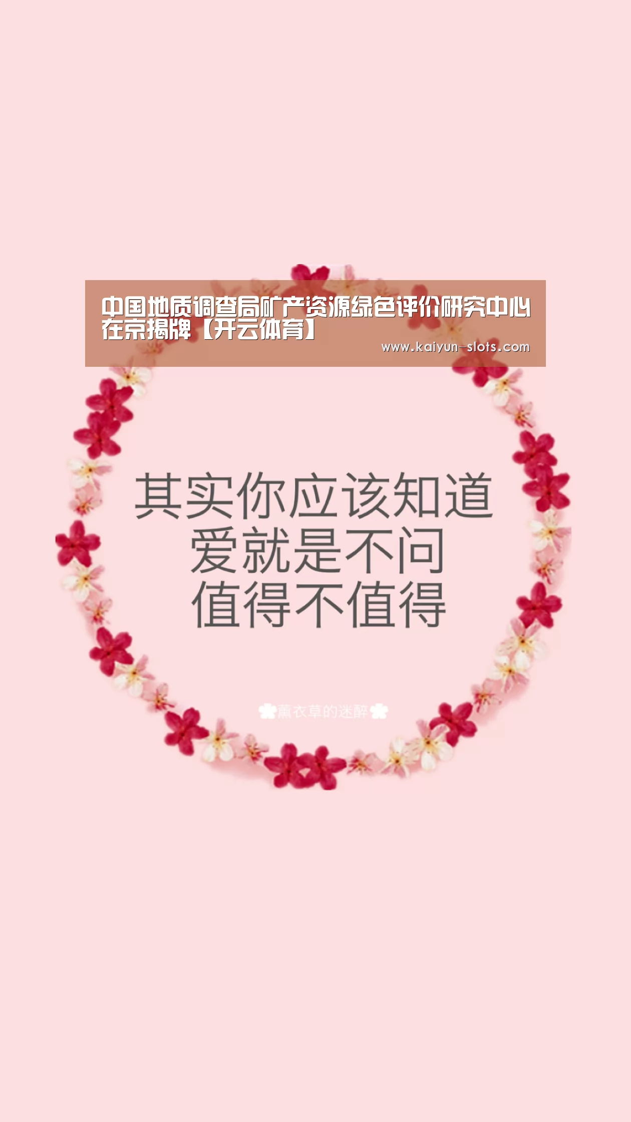 中国地质调查局矿产资源绿色评价研究中心在京揭牌【开云体育】(图4) 开云官网